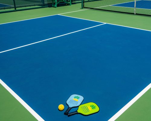 Pickleball-Pineapple-Beach-Club-2024-1-min