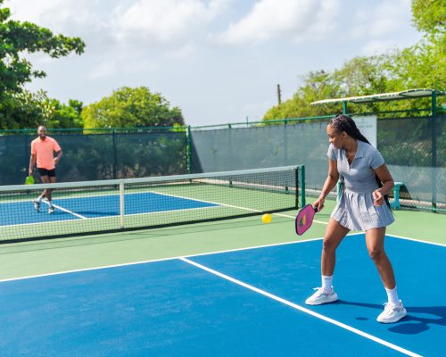 Pineapple-Pickleball-Nov2024-27