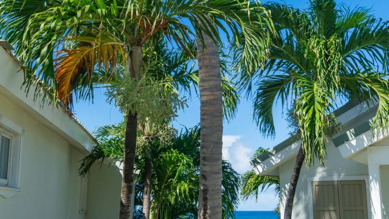 Verandah-52 (1)